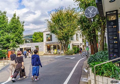 ディアナガーデン代官山：都市のオアシスと文化の交差点