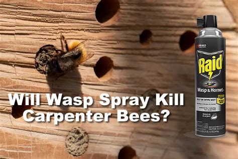 Does Wasp Spray Kill Bees? Exploring the Impact on Pollinators and Ecosystems